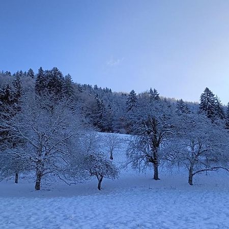 Gite Coeur De Haute-Savoie Viuz-en-Sallaz Exterior foto